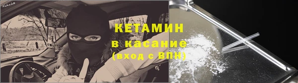 прущие грибы Заводоуковск