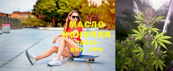 прущие грибы Заводоуковск